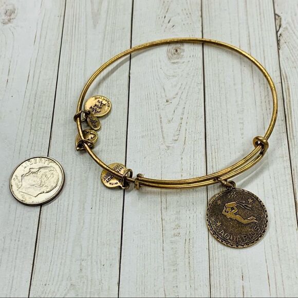 Alex and Ani Aquarius Bracelet - Picture 1 of 4